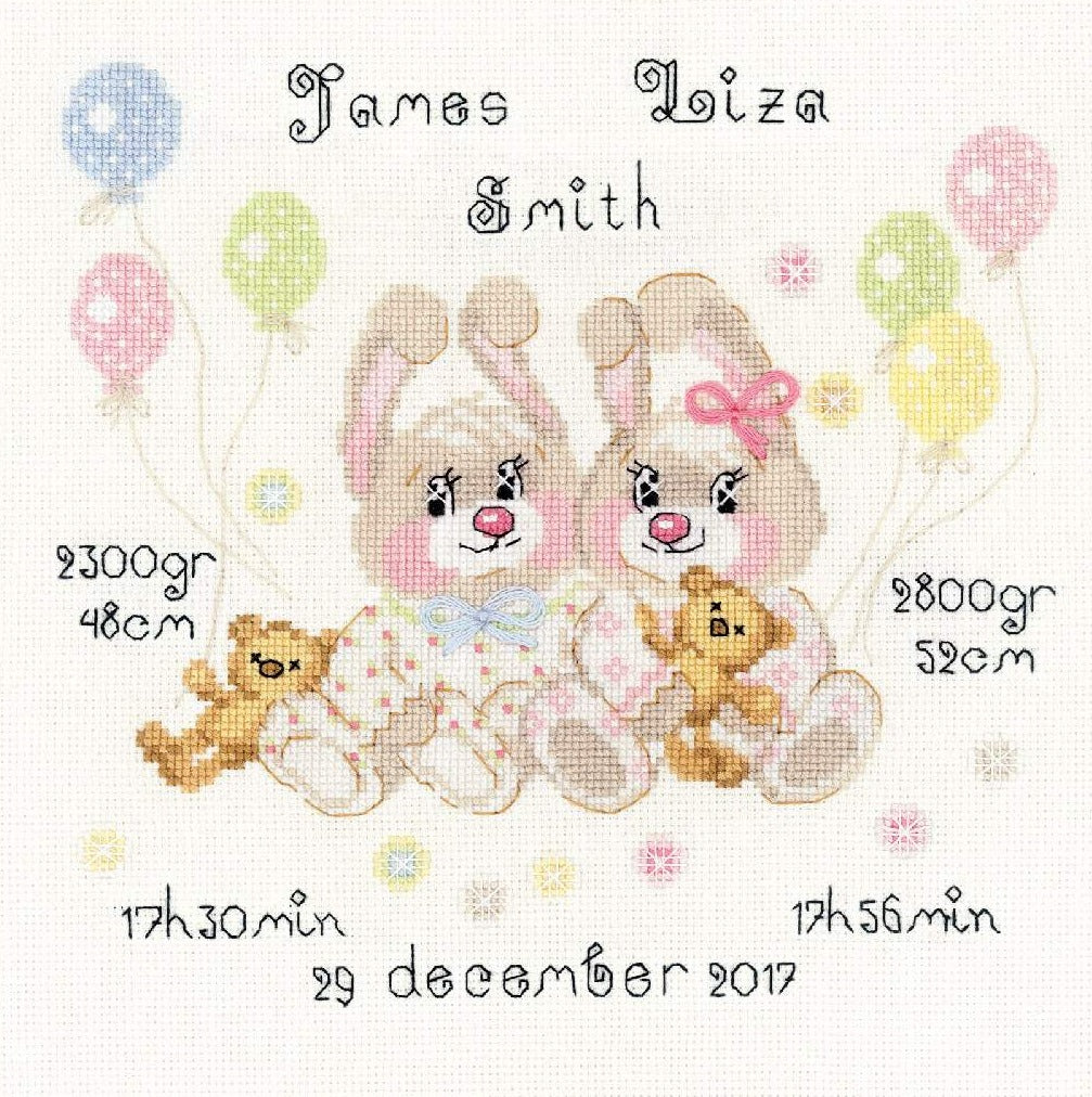 רקמה על בד גבינה - Twins Birth Announcement