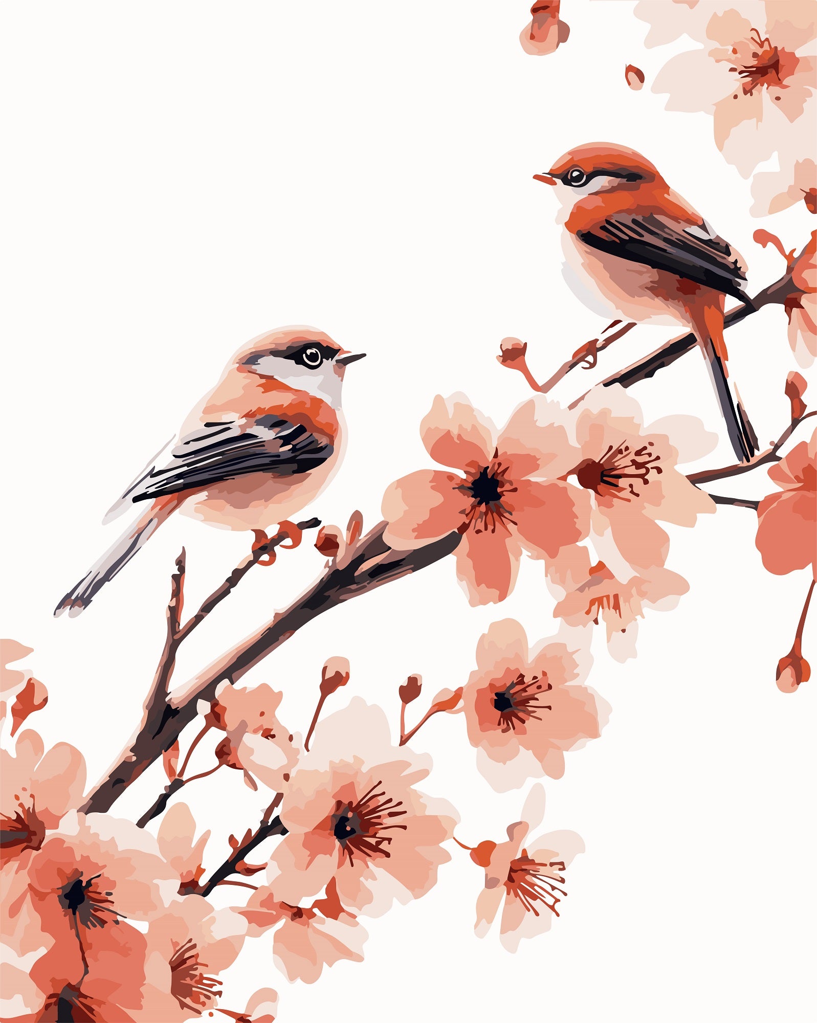 צביעה לפי מספרים - PBN1049