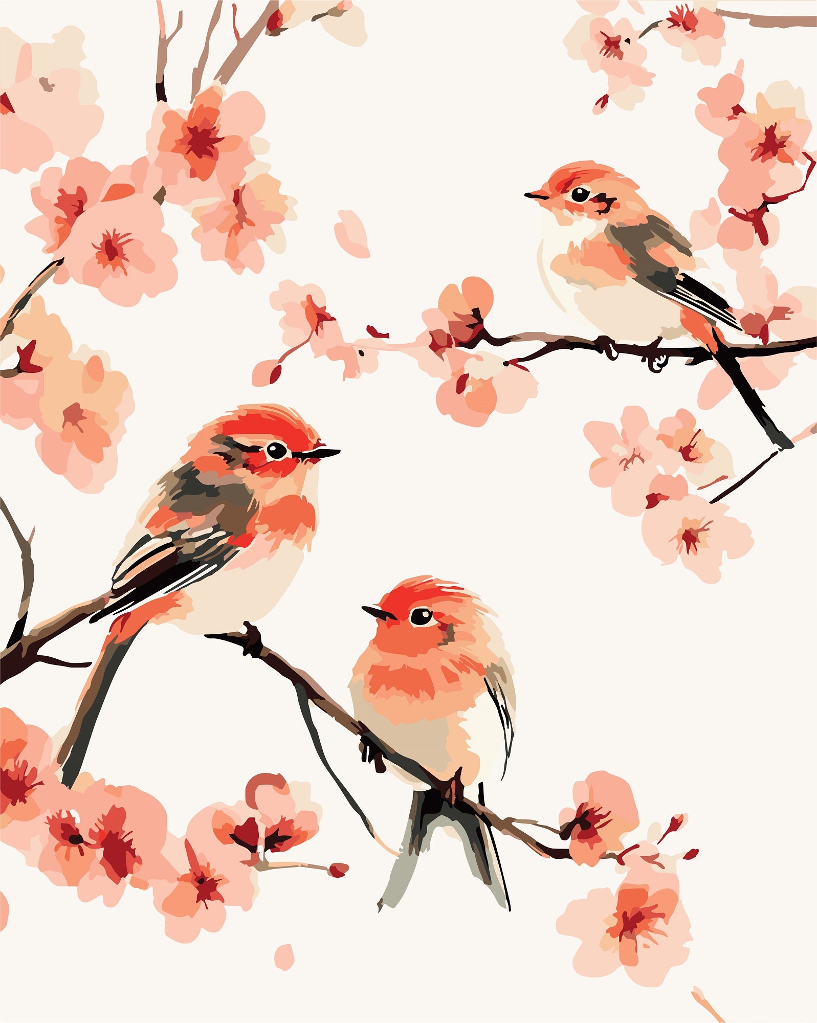 צביעה לפי מספרים - PBN1050