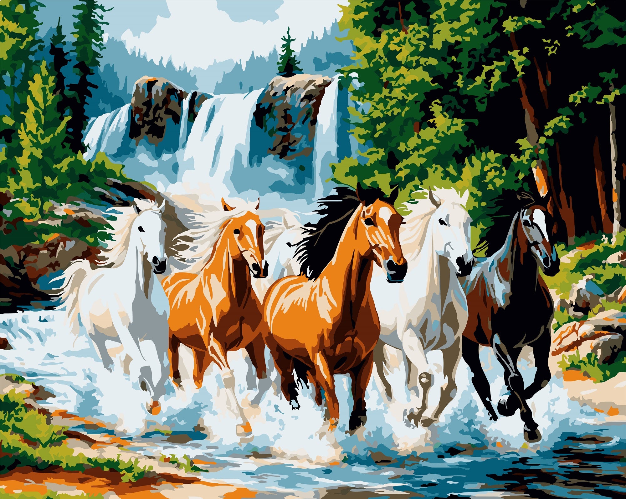 צביעה לפי מספרים - PBN1161