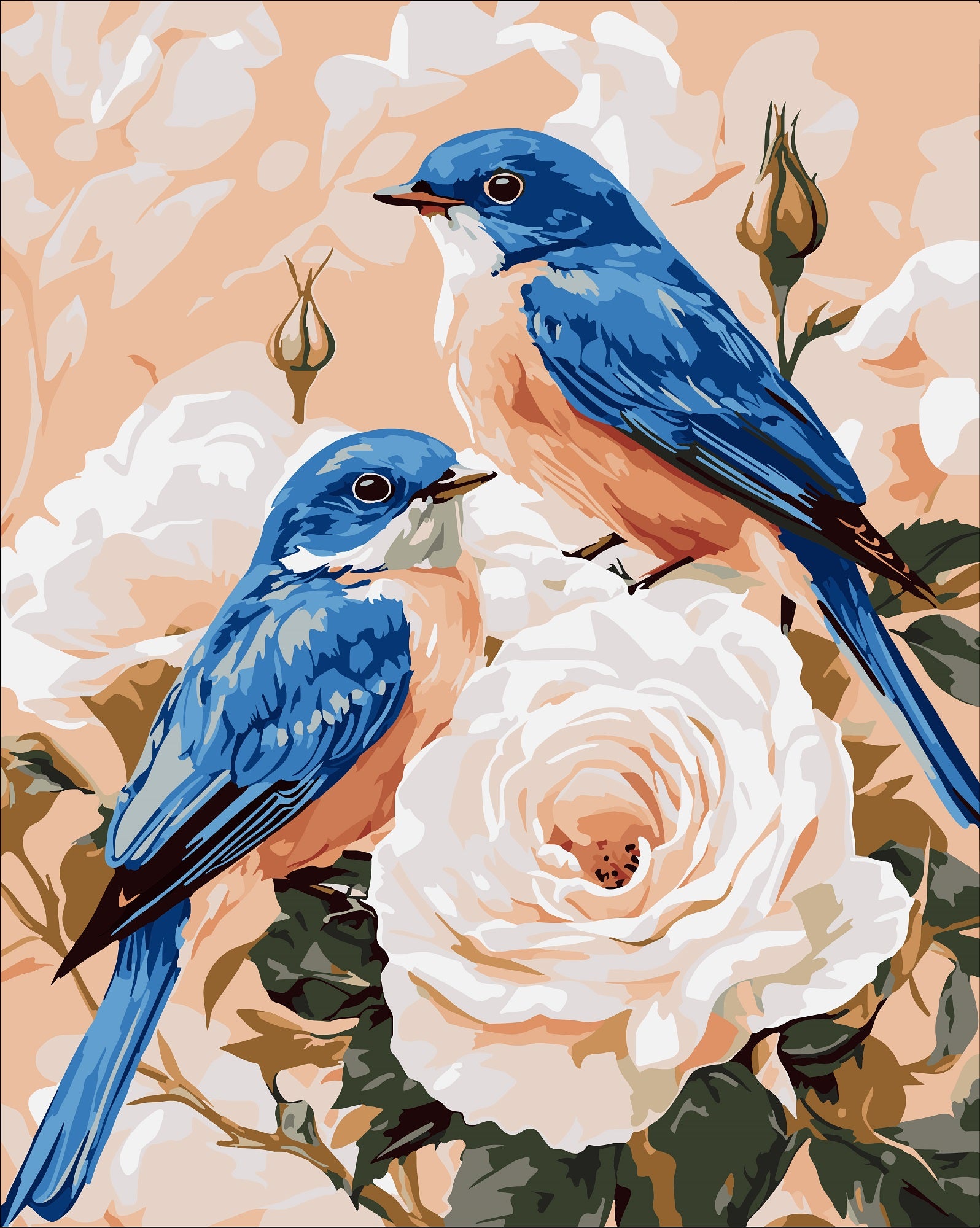 צביעה לפי מספרים - PBN1195