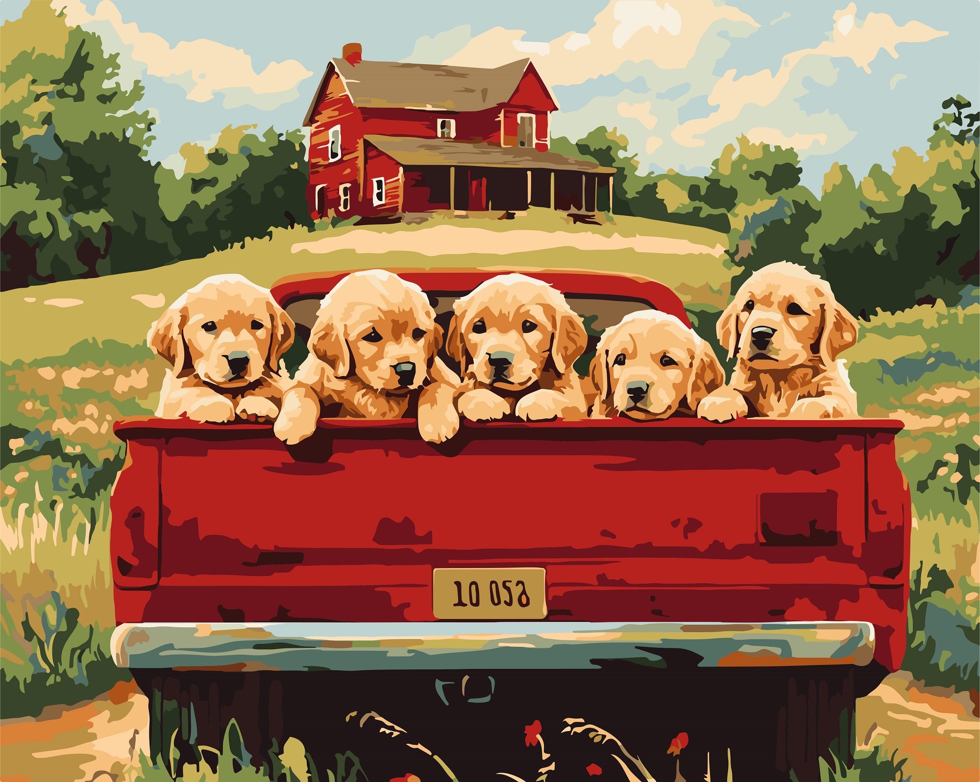 צביעה לפי מספרים - PBN1207