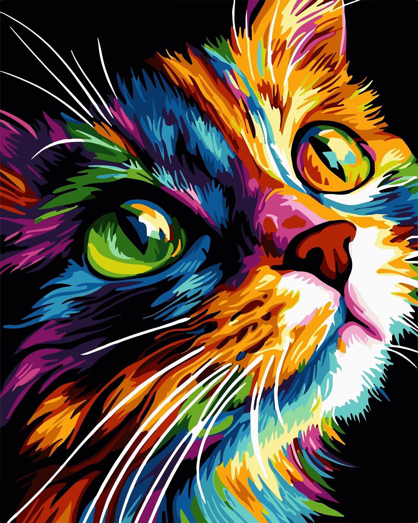 צביעה לפי מספרים - PBN1298