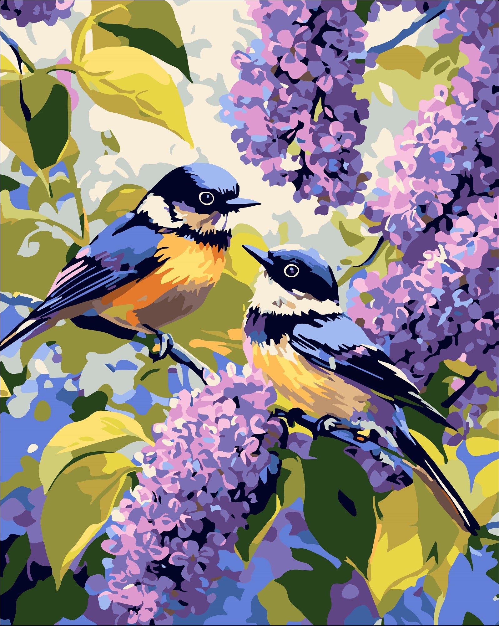 צביעה לפי מספרים - PBN1311