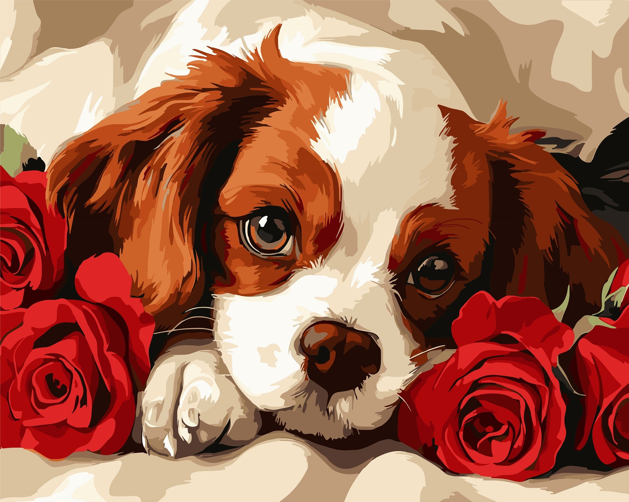 צביעה לפי מספרים - PBN1314