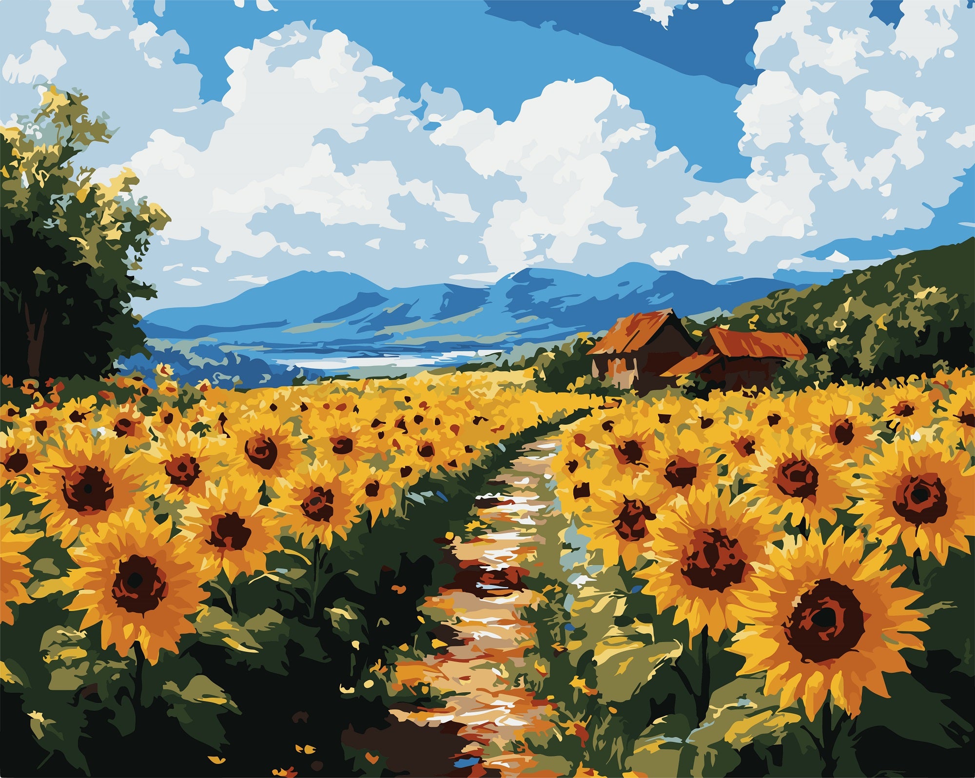 צביעה לפי מספרים - PBN1432