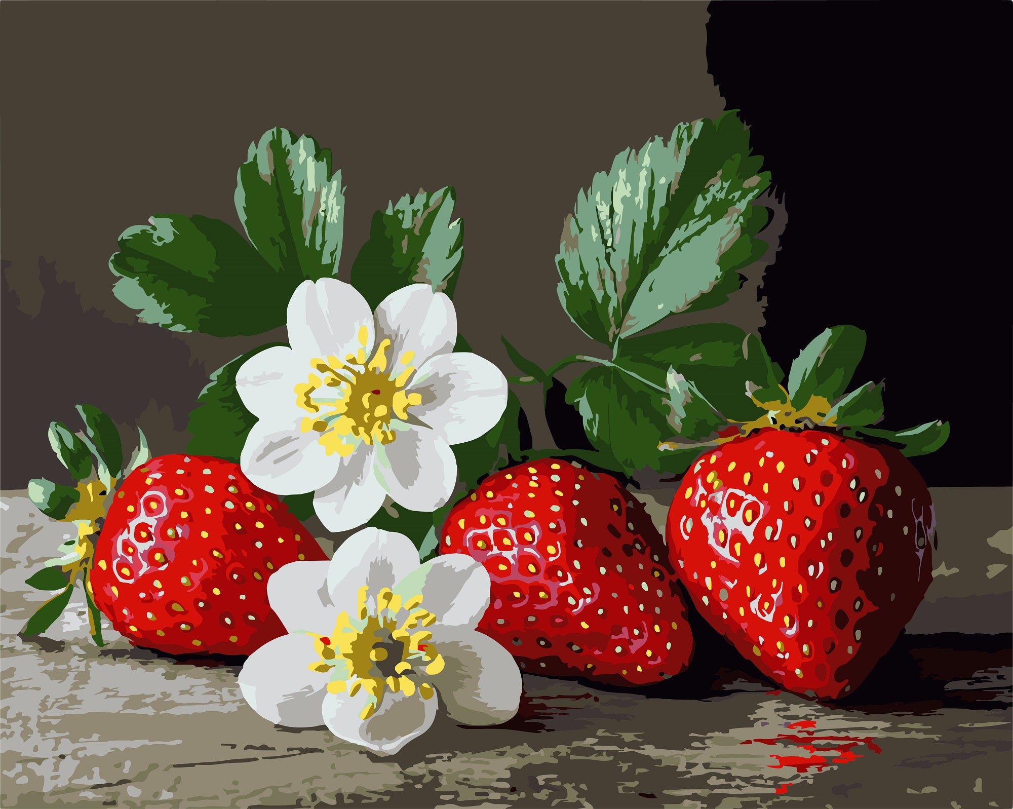 צביעה לפי מספרים - PBN1464