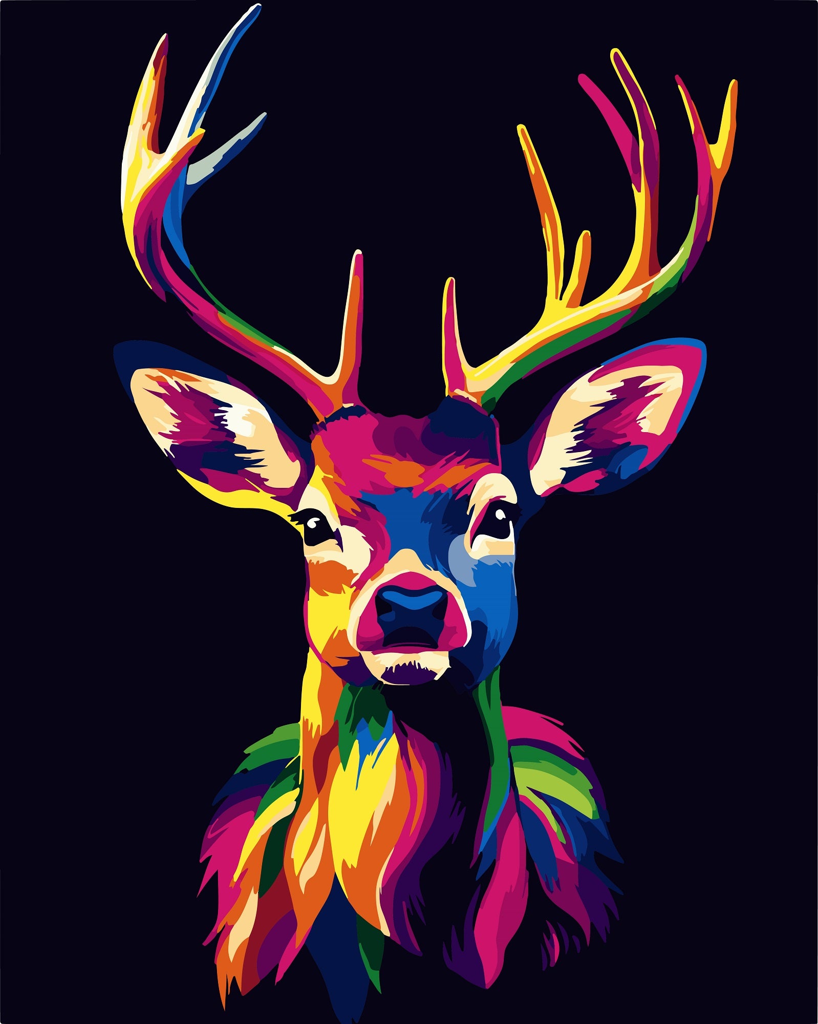 צביעה לפי מספרים - PBN1491