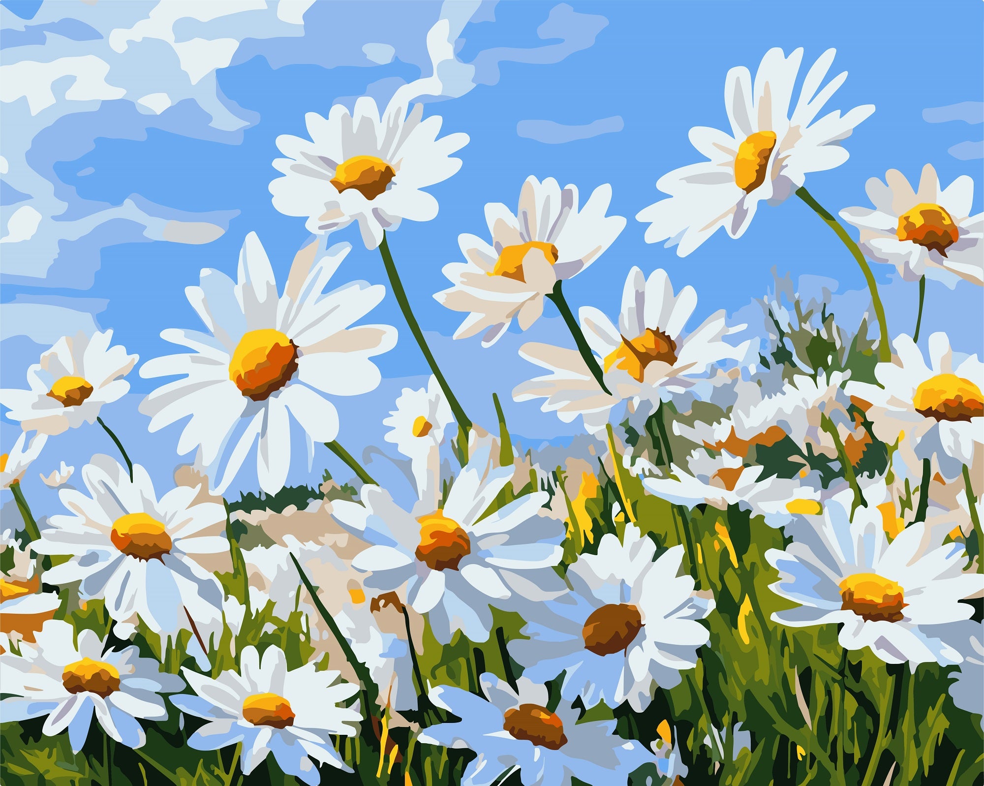 צביעה לפי מספרים - PBN1011