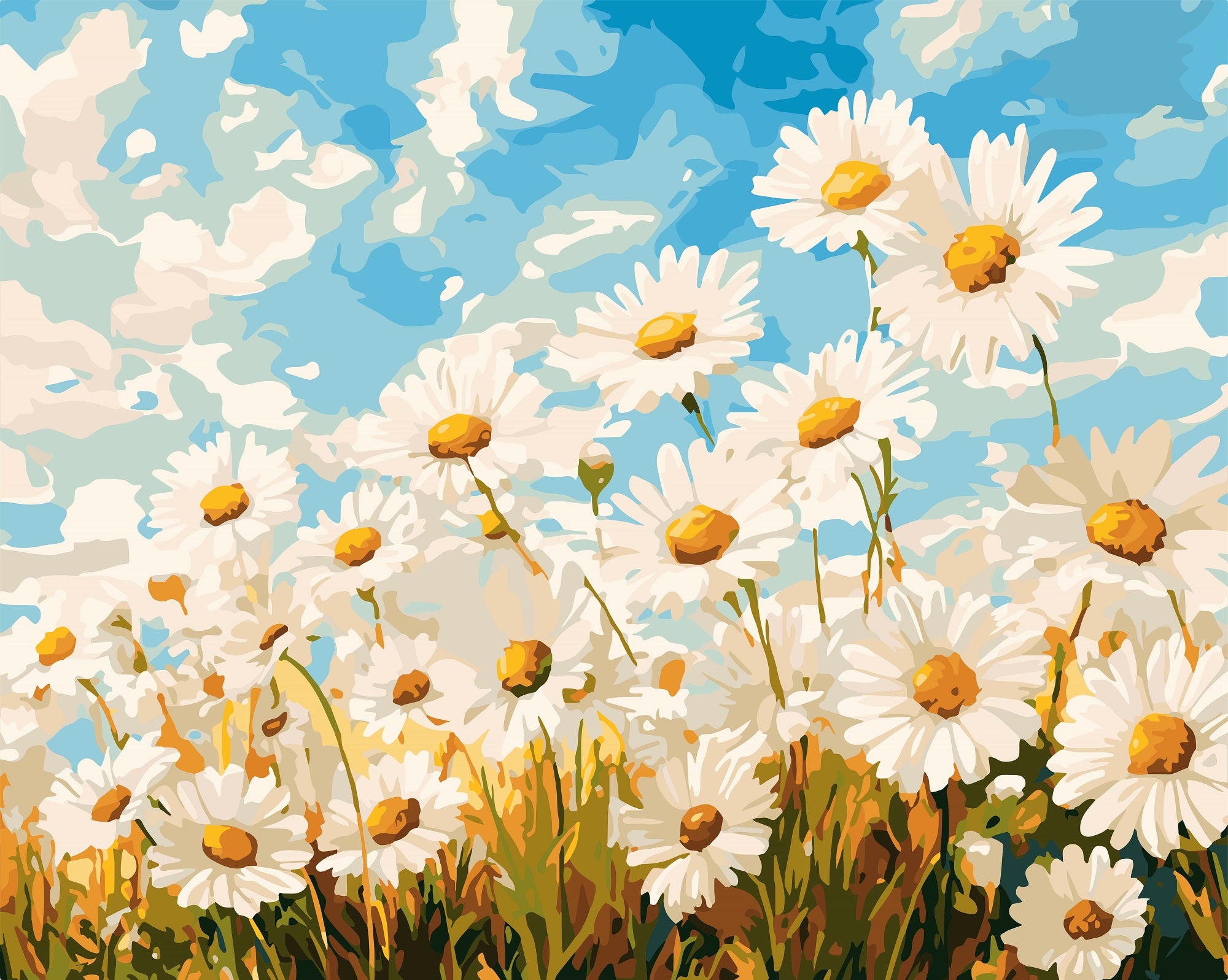 צביעה לפי מספרים - PBN1012