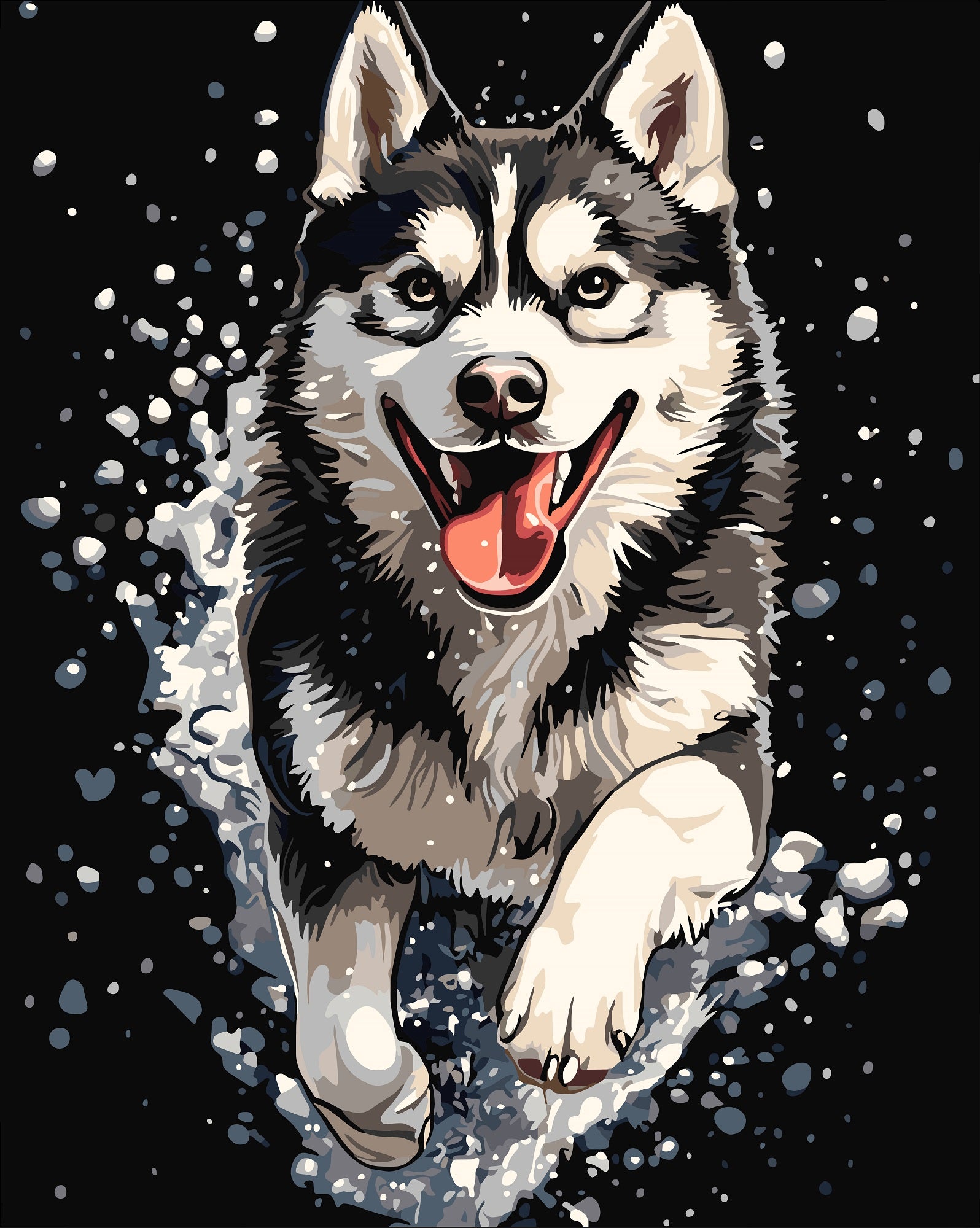 צביעה לפי מספרים - PBN1014