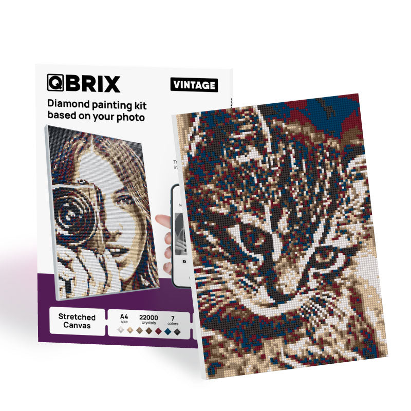 ציור יהלומים לפי תמונה אישית QBRIX (מבצע 2+1)