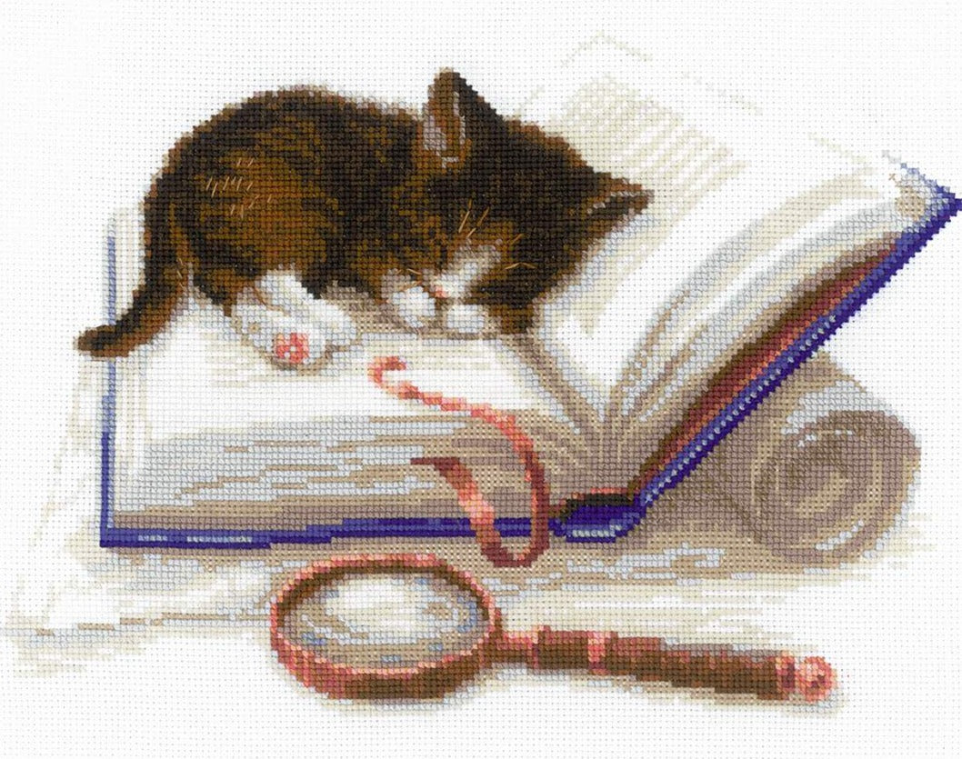 רקמה על בד גבינה - Kitten on the Book