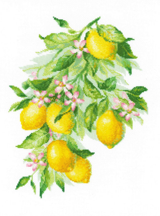 רקמה על בד גבינה - Bright Lemons