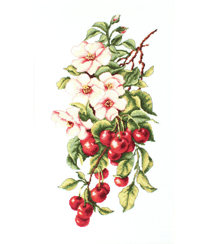 רקמה על בד גבינה - Composition with cherry