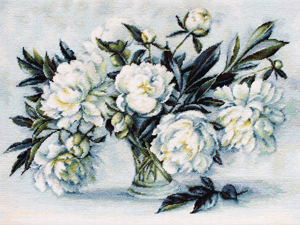 רקמה על בד גבינה - Peonies