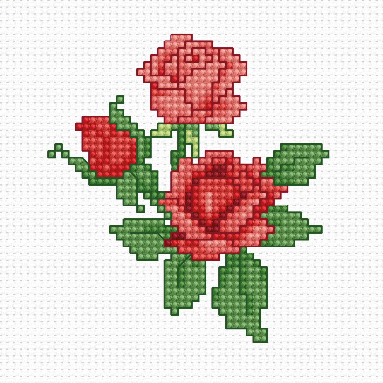 רקמה על בד גבינה - Roses