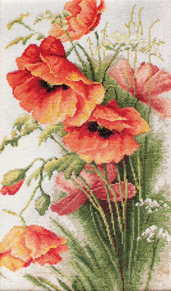 רקמה על בד גבינה - Poppies