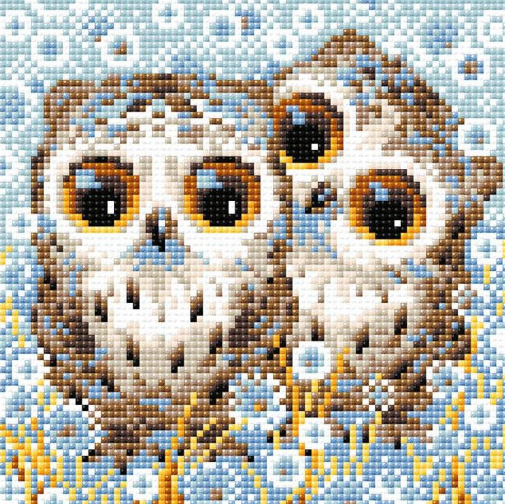 ציור יהלומים - Little Owls