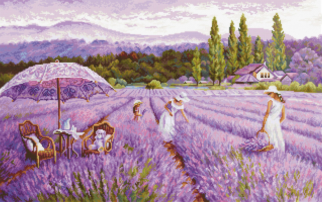 רקמה על בד גבינה - Lavender field