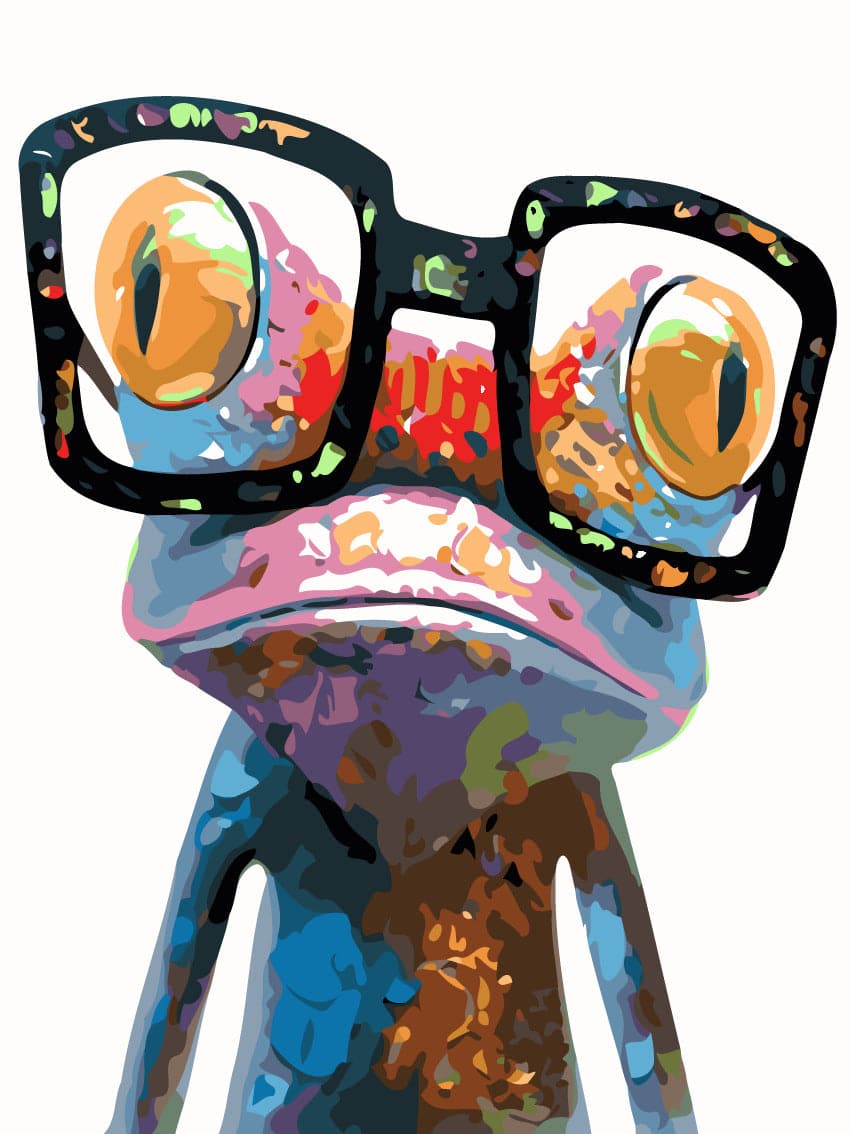 צביעה לפי מספרים - צפרדע עם משקפיים (ערכת פרימיום)