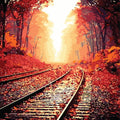 צביעה לפי מספרים - מסילת רכבת בסתיו