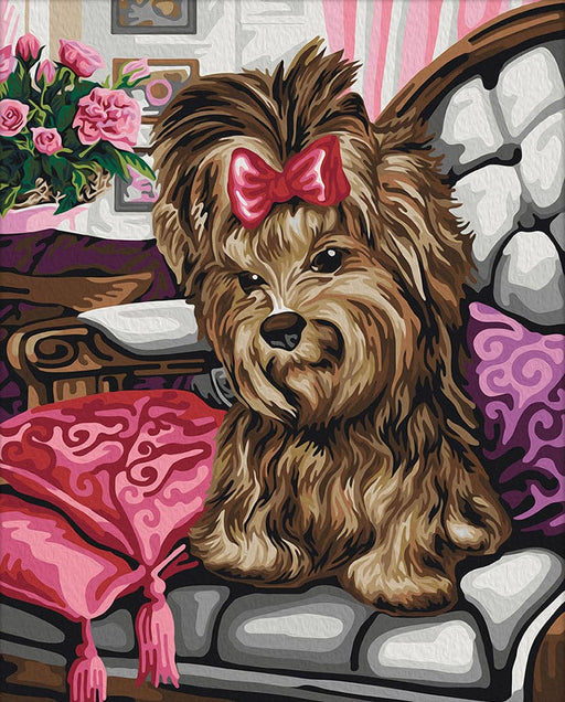 צביעה לפי מספרים - W2498