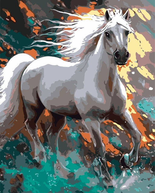 צביעה לפי מספרים - w6528 (ערכת פרימיום)