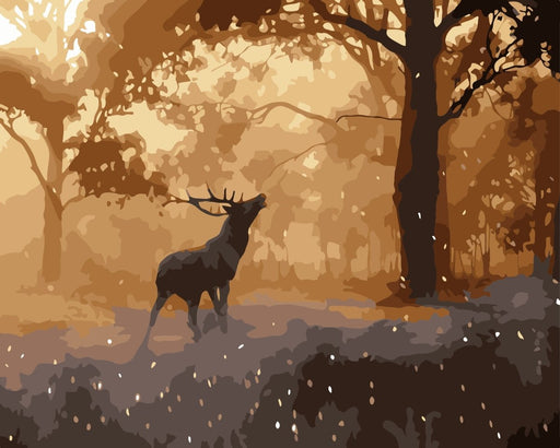 צביעה לפי מספרים - w6531 (ערכת פרימיום)