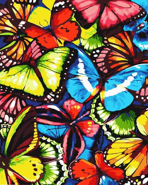 צביעה לפי מספרים - w6532 (ערכת פרימיום)