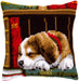 הכנת תמונת צמר או כרית - כלב ישן על מדף