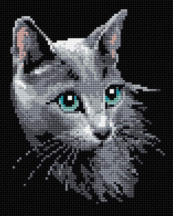 שיבוץ יהלומים - חתול רוסי כחול
